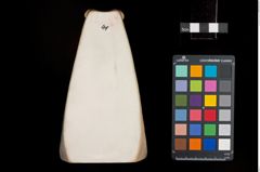 Foto einer Buchstütze in Schneckenform (NHMW-ZOO-MO-0081100-ETH-041)